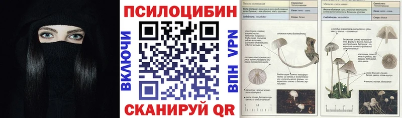 Галлюциногенные грибы мицелий  продажа наркотиков  Называевск 